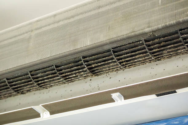 Best HVAC System Cleaning  in Wesleyville, PA